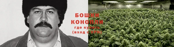 дурь Верхний Тагил