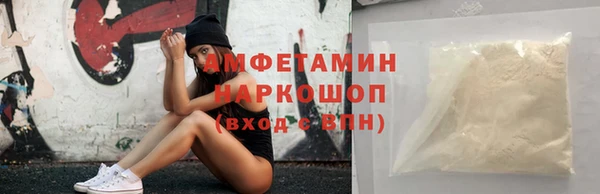 прущие грибы Вязьма