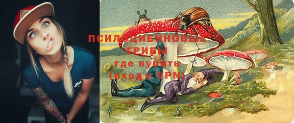 прущие грибы Вязьма