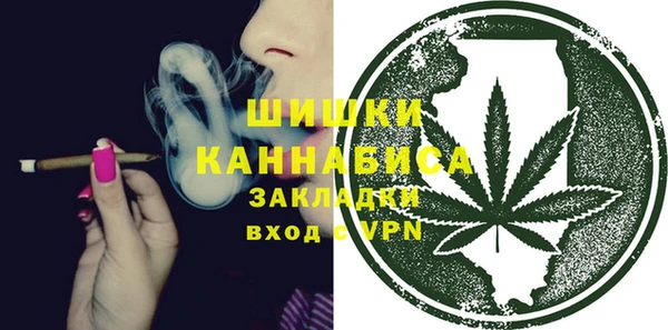 прущие грибы Вязьма