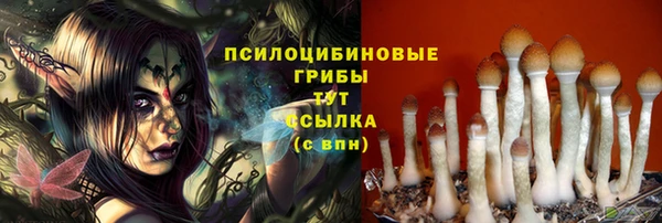 герыч Вязники