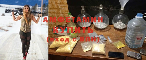 прущие грибы Вязьма