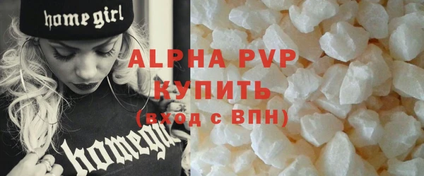 прущие грибы Вязьма