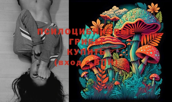 кокс Вяземский